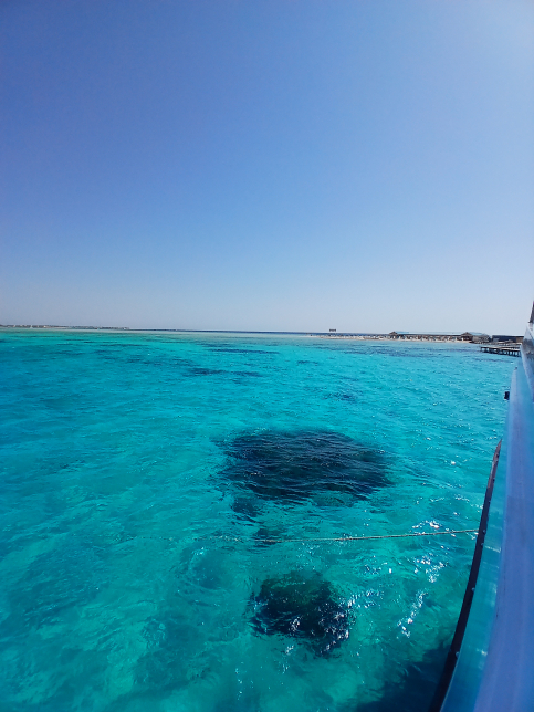 Hurghada: Excursie cu barca pe insula Bianca cu snorkeling și bufet suedez