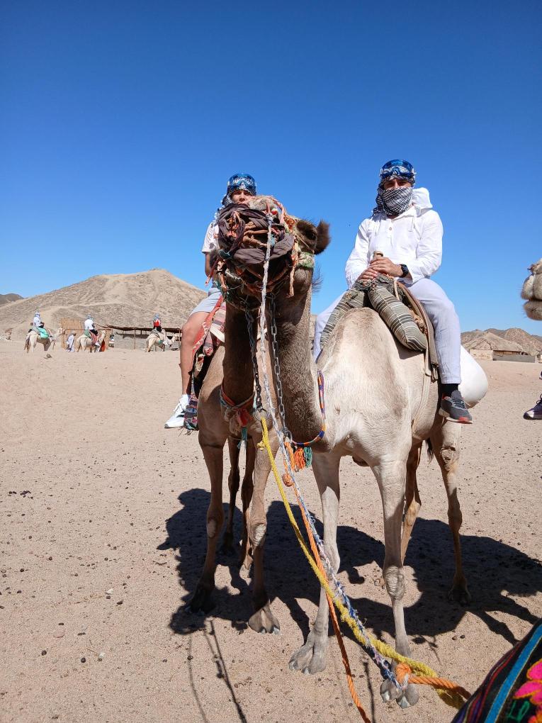 Hurghada: SAFARI DE FAMILIE – Aventură ușoară pentru toți cei dragi