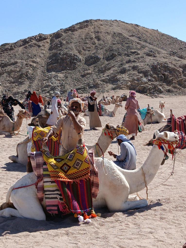 Hurghada: SAFARI DE FAMILIE – Aventură ușoară pentru toți cei dragi