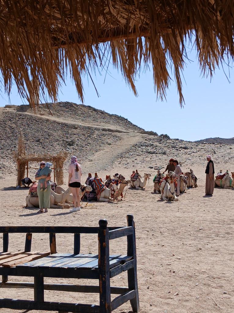 Hurghada: SUPER SAFARI – ATV, Buggy, Jeep cu cină