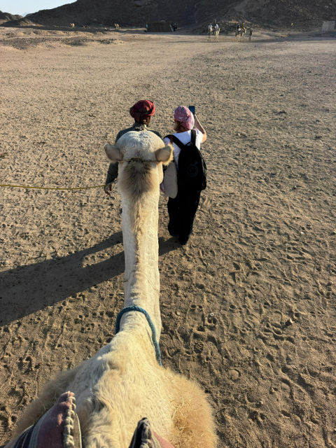 Hurghada: Goana după stele (Apus și cer înstelat)